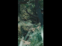 BeerFest Las Palmas 2024 - Rider DH 151