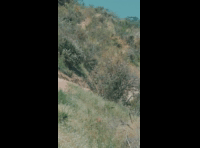 BeerFest Las Palmas 2024 - Rider DH 154