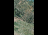 BeerFest Las Palmas 2024 - Rider DH 156