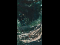 BeerFest Las Palmas 2024 - Rider DH 158