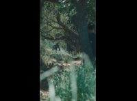 BeerFest Las Palmas 2024 - Rider DH 159