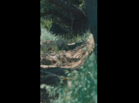 BeerFest Las Palmas 2024 - Rider DH 162