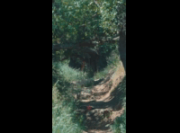 BeerFest Las Palmas 2024 - Rider DH 164