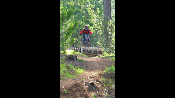 Race Clip Ducks on Wheels Rider #101