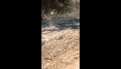 OPEN SHIMANO VIDEO Domingo Qualy RIDER 118 Diego Recabarren