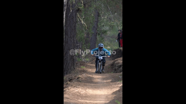 Race Clip Ducks on Wheels Rider #166