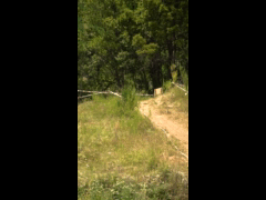 Campeonato Nacional DH CARAHUE Rider 185 BAstian Robles QUALY