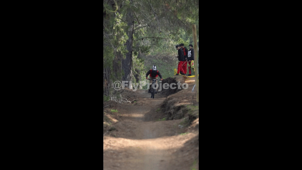 Race Clip Ducks on Wheels Rider #46