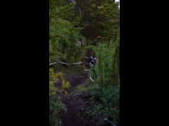 OPEN SHIMANO CERRO BAYO Rider 46 Javier Ignacio Paredes