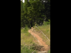 Campeonato Nacional DH CARAHUE Rider 60 Marco Antonio Aburto QUALY