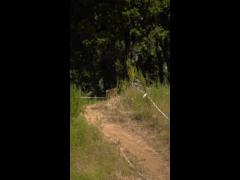 Final Campeonato Nacional DH CARAHUE Rider 68 Javier Paredes FINAL