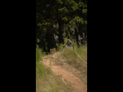 Final Campeonato Nacional DH CARAHUE Rider 71 Enrique Genova FINAL