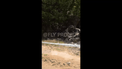 OPEN SHIMANO VIDEO Domingo Qualy RIDER 77 Lucas Radrigan