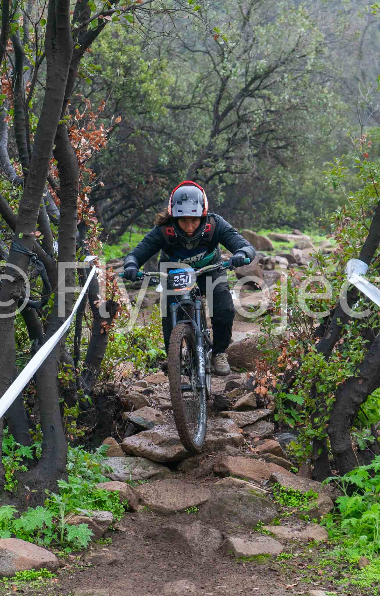 Deache Series Catemu Rider 250 Sabine Rojas Siegel