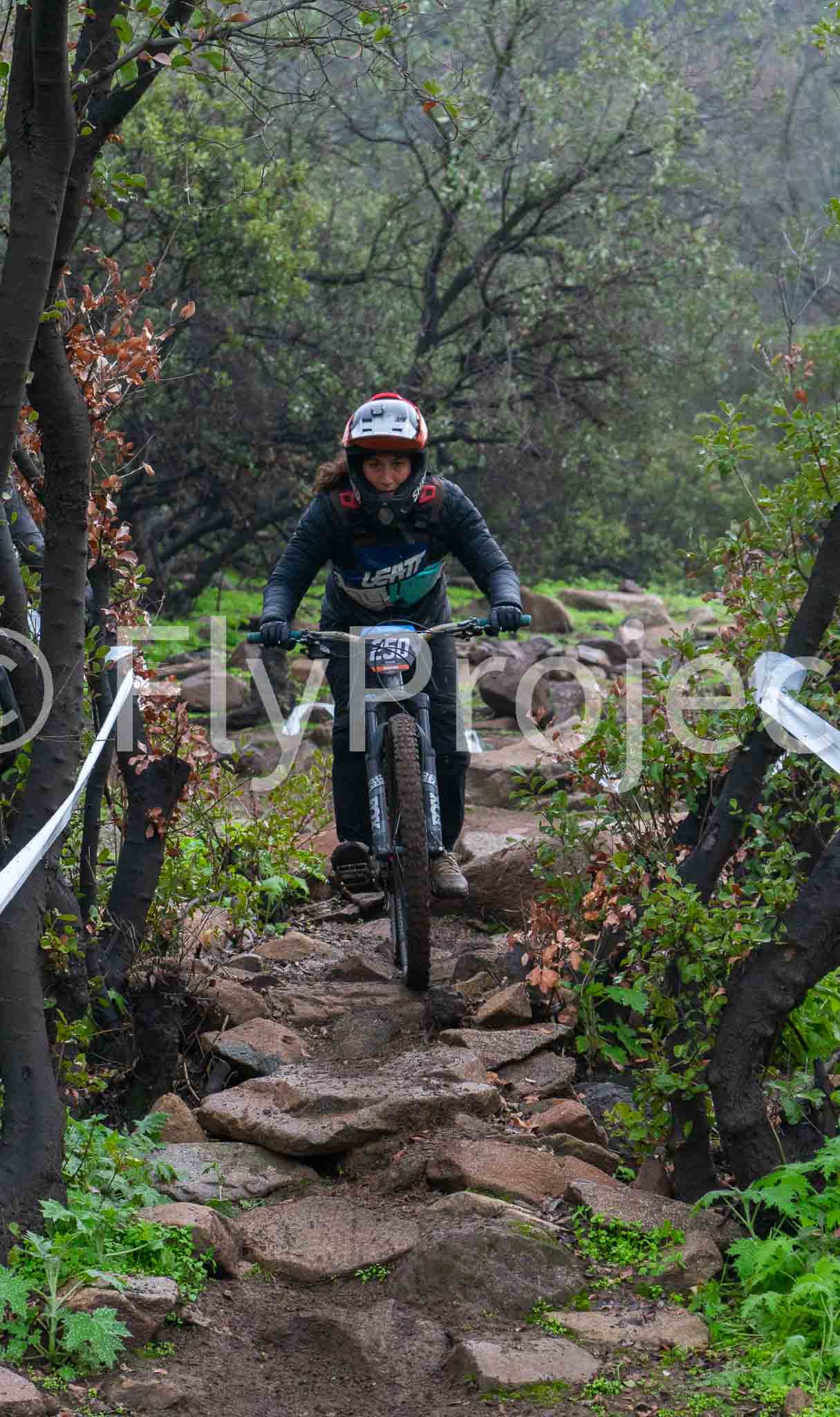Deache Series Catemu Rider 250 Sabine Rojas Siegel