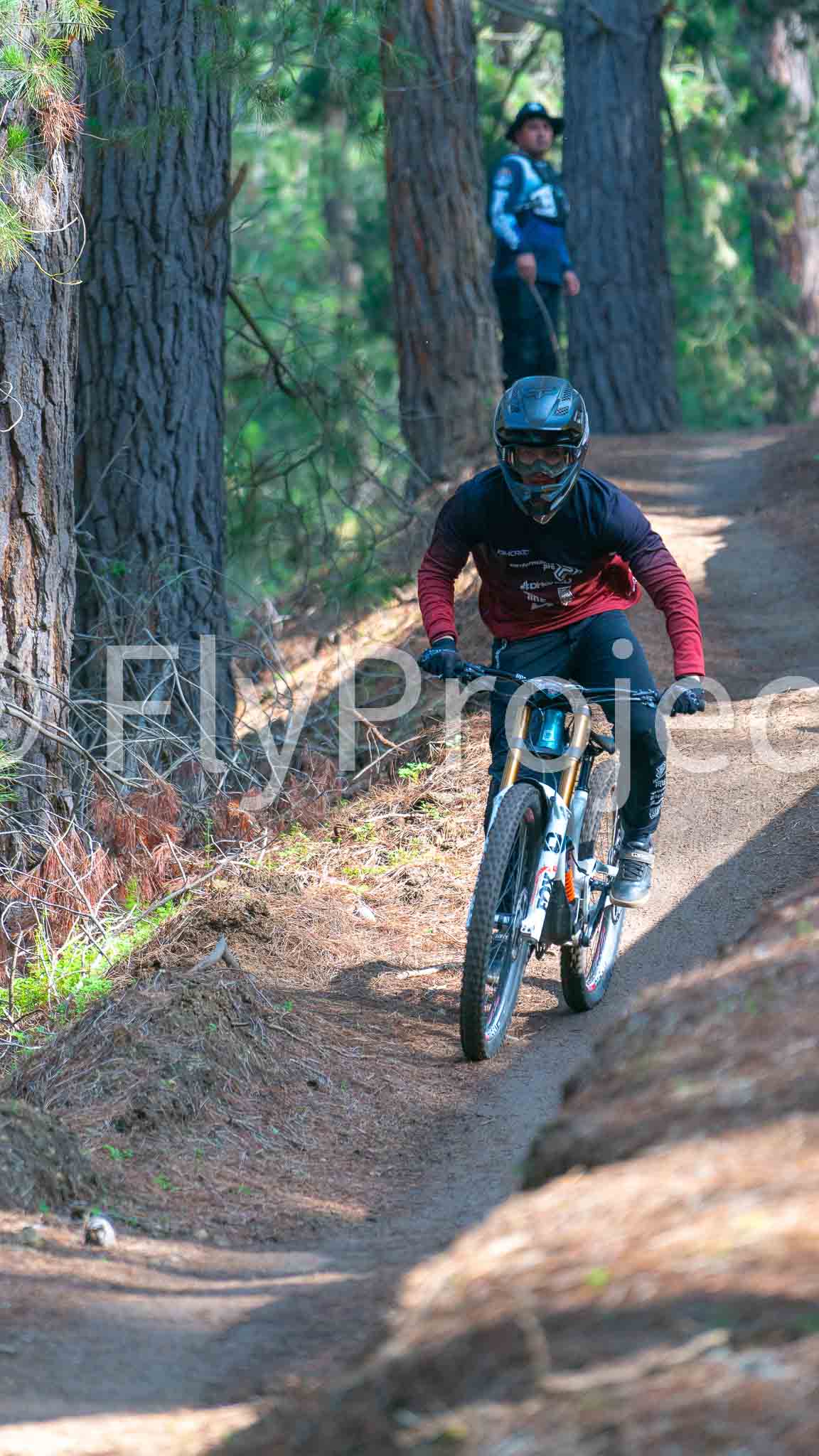 Ducks on Wheels Supreme Dh Commencal Sin Numero