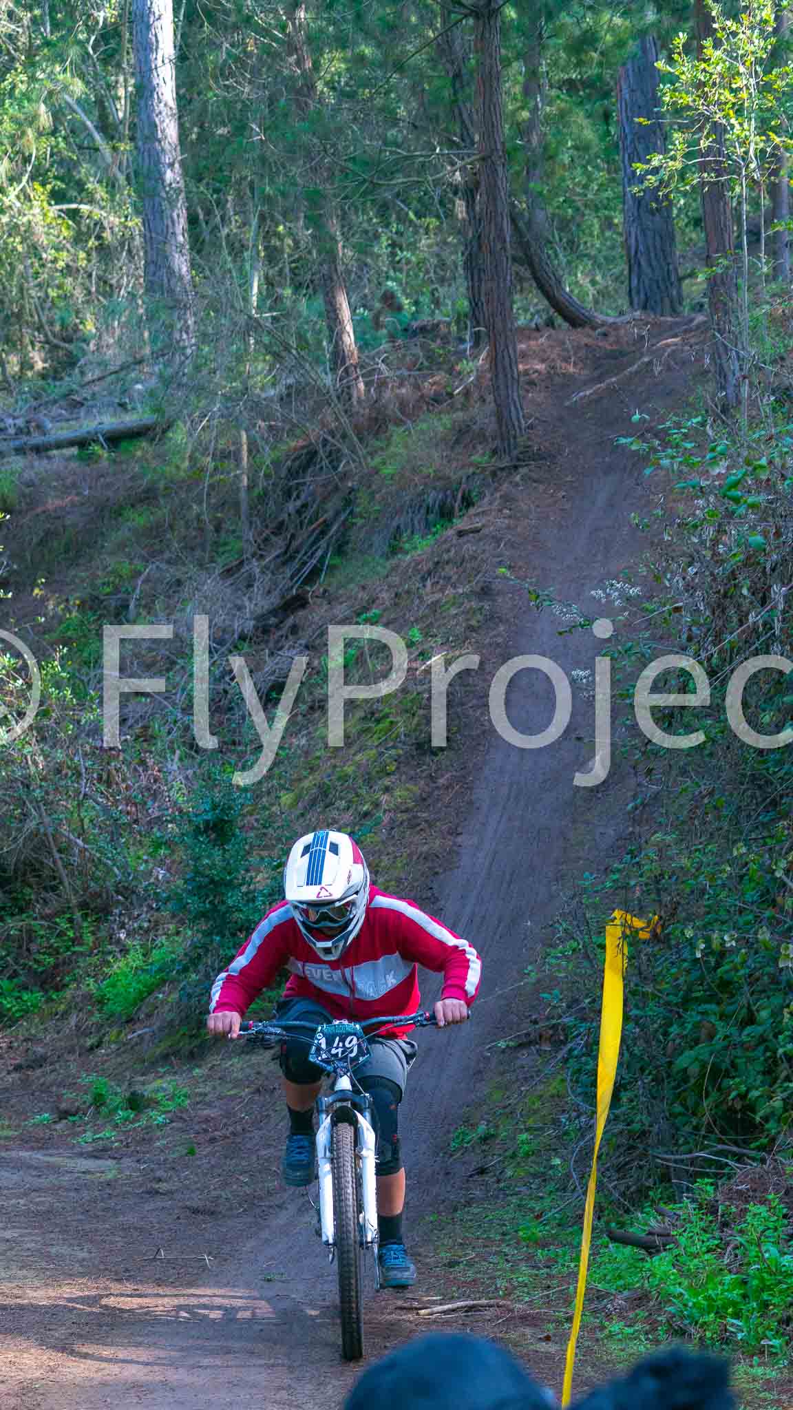 Ducks on Wheels Rider 149