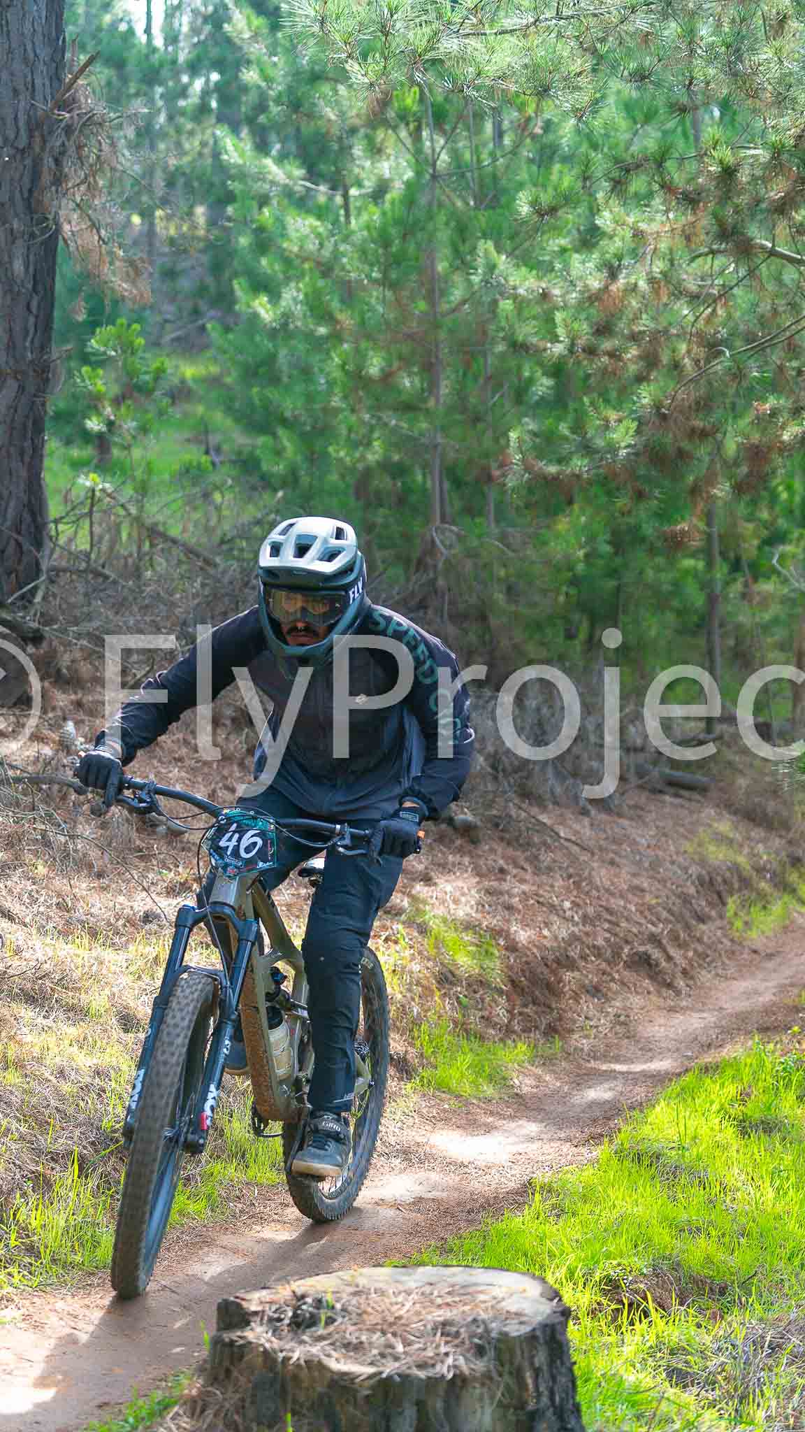 Ducks on Wheels Rider 46