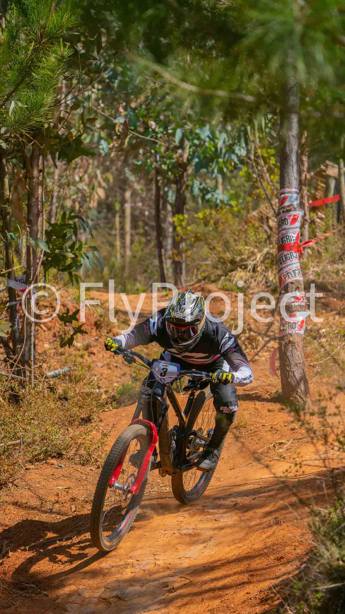 PUMONES FAST RACING RIDER 3 Alberto Beto Nicolas