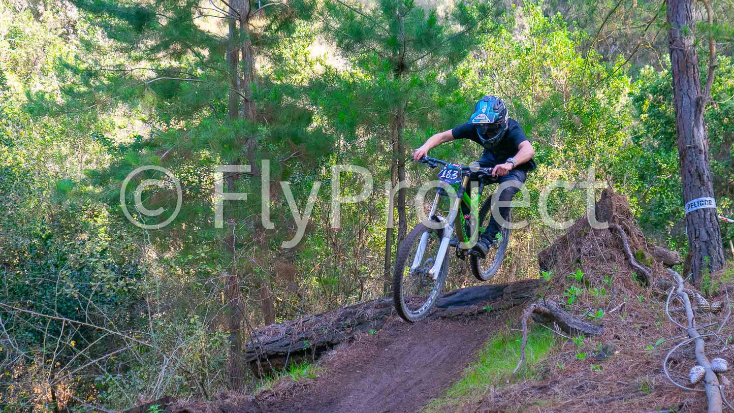 Ducks on Wheels Rider 183