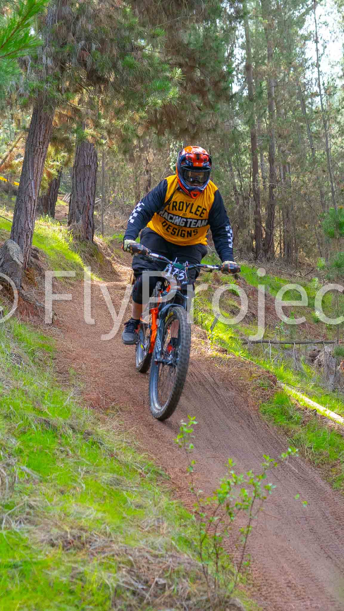 Ducks on Wheels Rider 173
