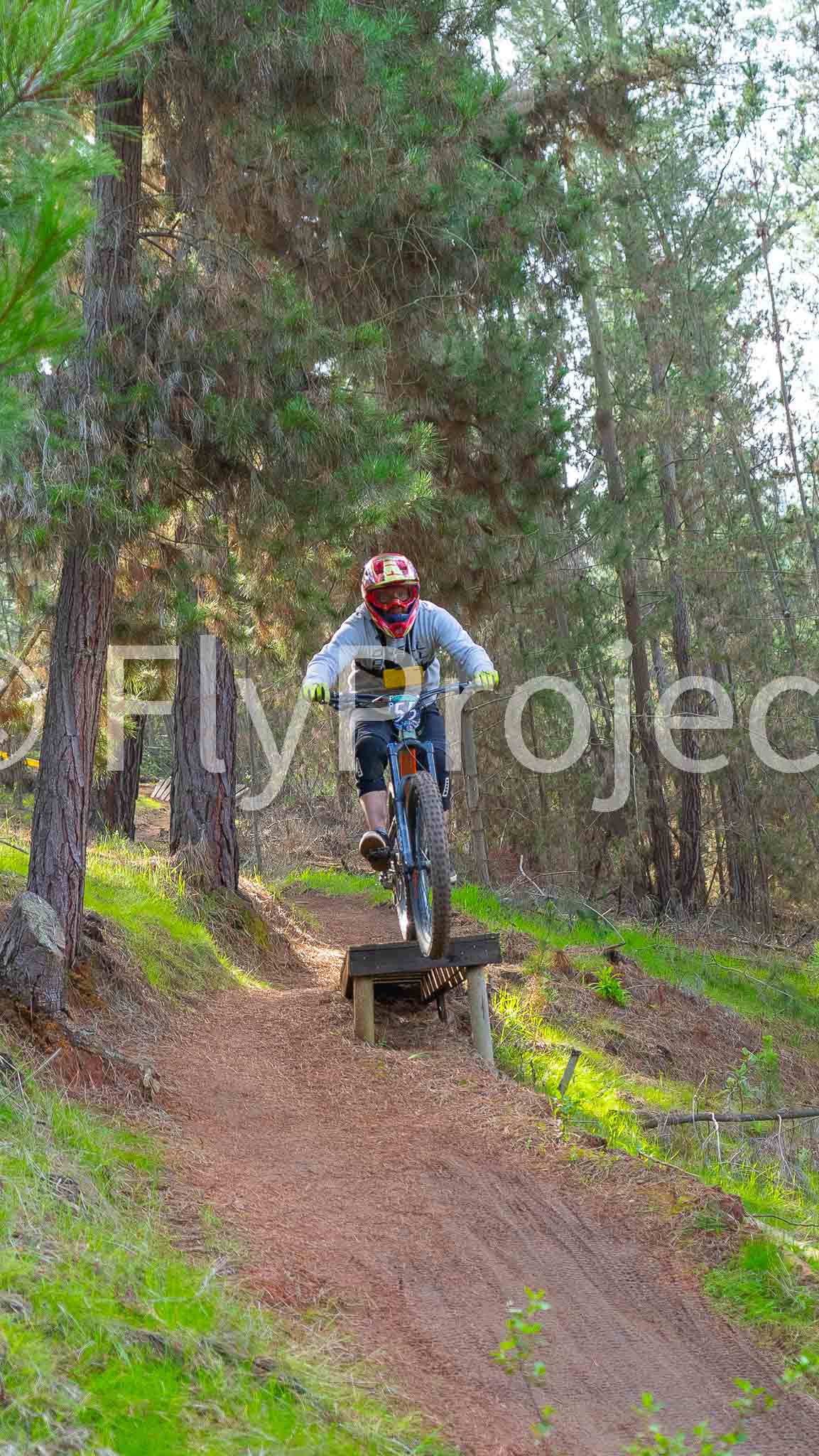 Ducks on Wheels Rider 55