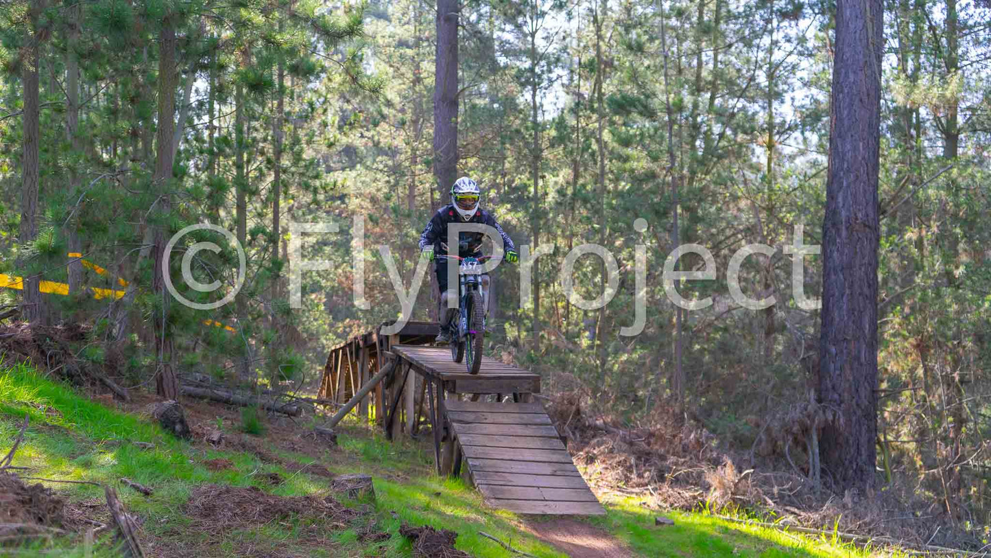 Ducks on Wheels Rider 157