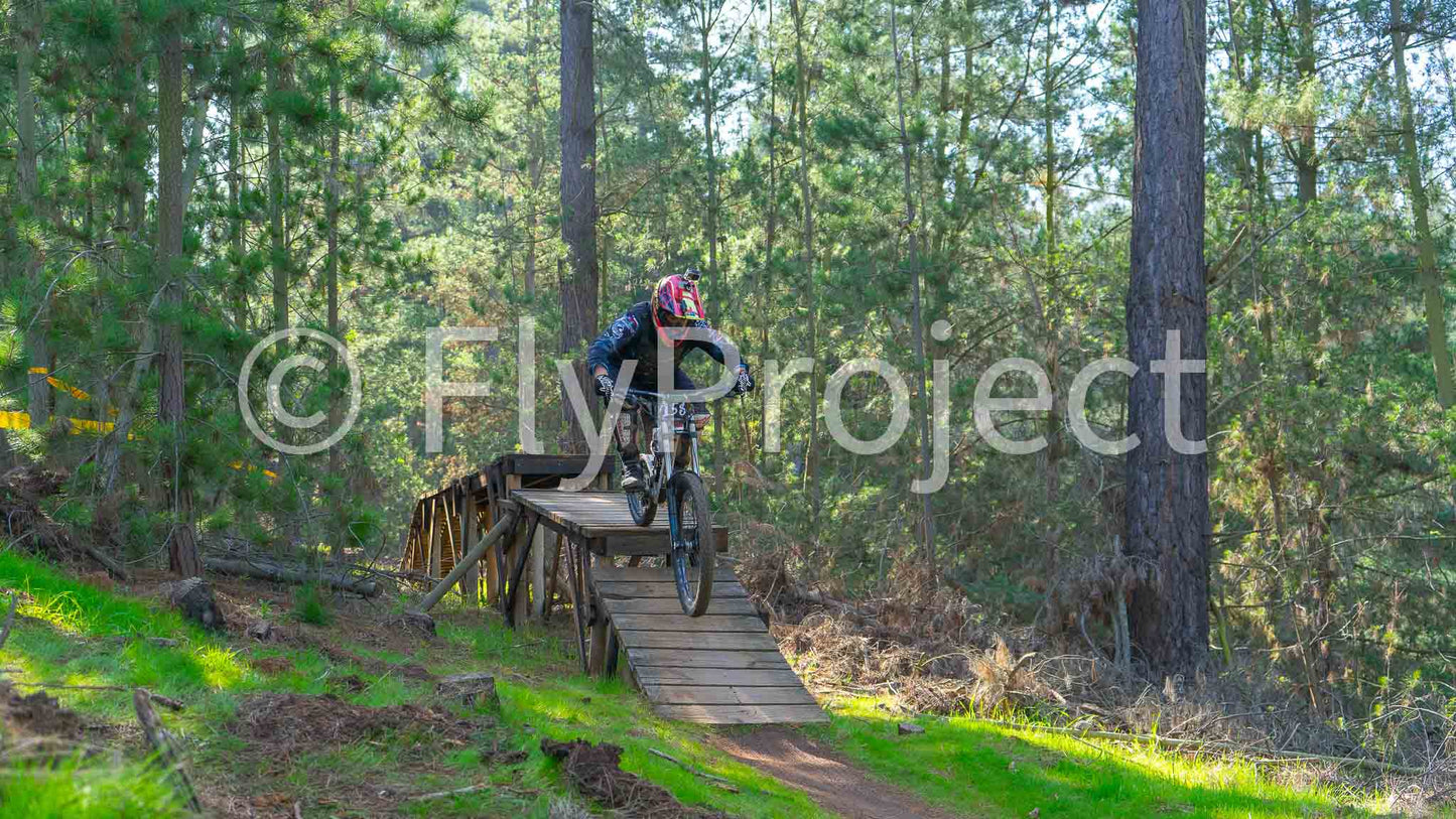 Ducks on Wheels Rider 158