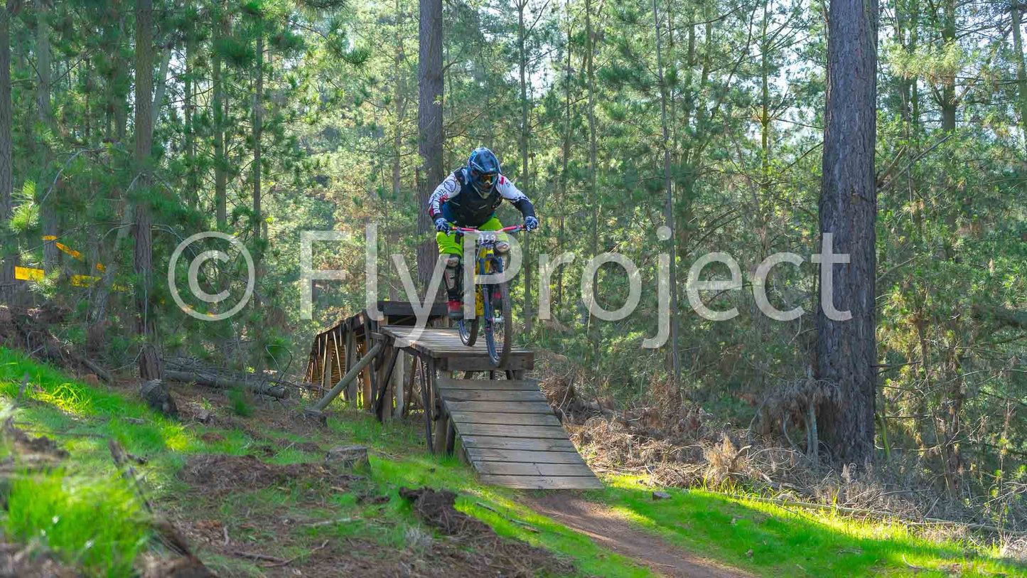 Ducks on Wheels Rider 159