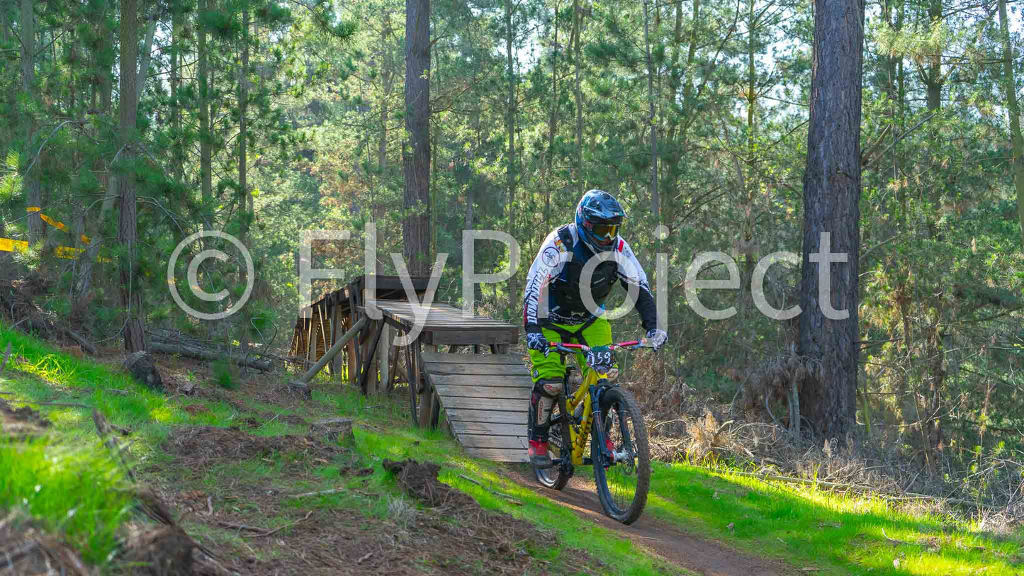 Ducks on Wheels Rider 159