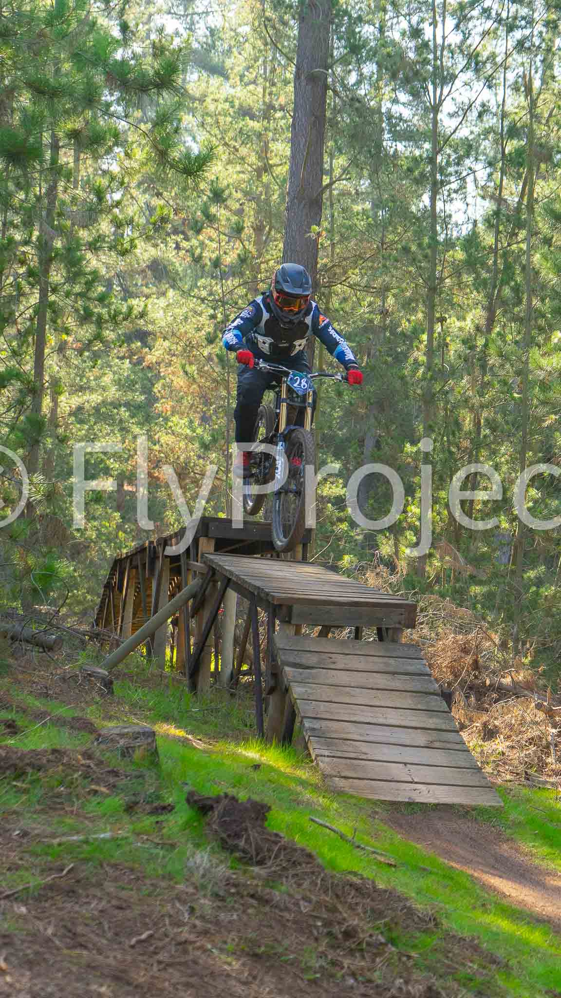 Ducks on Wheels Rider 28