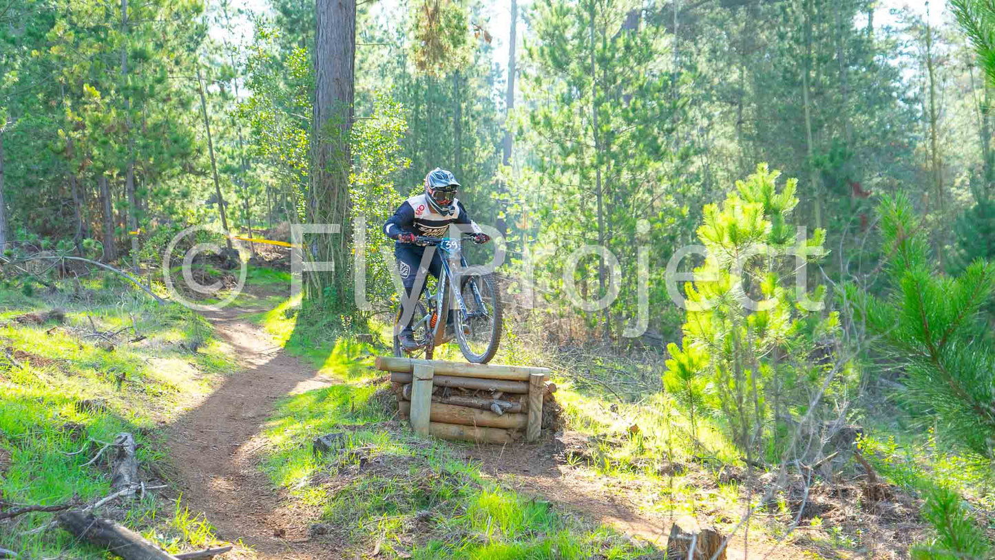 Ducks on Wheels Rider 39