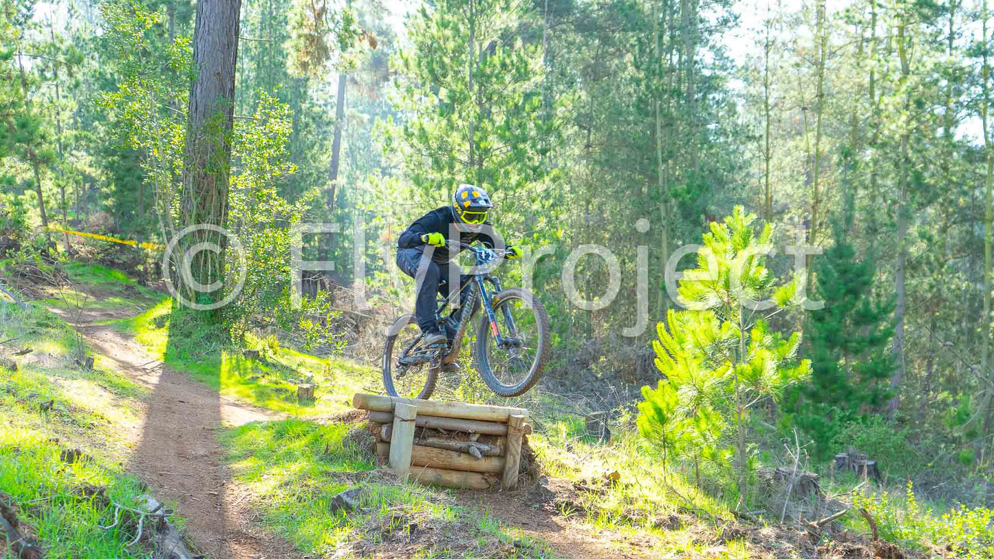 Ducks on Wheels Rider 72