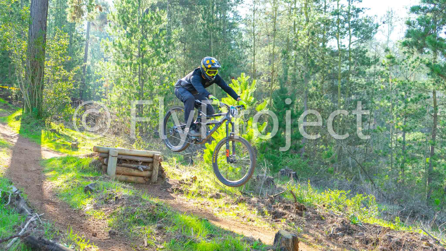 Ducks on Wheels Rider 72