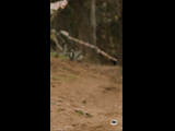 CURICO WINTER SERIES 2023 RIDER 100 Francisco Martinez