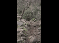 CATEMU TOUR NACIONAL 2024 RIDER 114 JUAN ANTONIO NEIRA