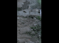 CATEMU TOUR NACIONAL 2024 RIDER 114 JUAN ANTONIO NEIRA