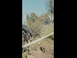 CURICO WINTER SERIES 2023 RIDER 11 Manuel Monasterio