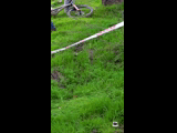 CURICO WINTER SERIES 2023 RIDER 123 Francisco Cedron