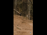 CURICO WINTER SERIES 2023 RIDER 124 Ronaldo Fuentealba