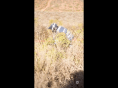 PACK VIDEO ENDURO SERIES PICHIDANGUI 3A FECHA EBIKE RIDER 12 Domingo Errazuriz Be Cycling - GIANT