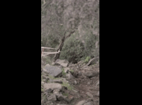 CATEMU TOUR NACIONAL 2024 RIDER 131 CRISTIAN JERIA
