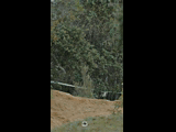 DEACHE SERIES PUCHUNCAVI RIDER 137 BENJAMIN GARAY