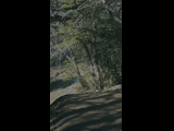Campeon del Bike Park 2024 - Rider 145 RODRIGO LAHSEN