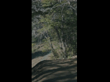 Campeon del Bike Park 2024 - Rider 146 CRISTOBAL HILERNS