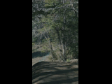 Campeon del Bike Park 2024 - Rider 149 VICENTE VARGAS
