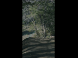 Campeon del Bike Park 2024 - Rider 150 LEON GASCON
