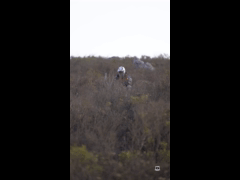 PACK VIDEO ENDURO SERIES PICHIDANGUI 3A FECHA EBIKE RIDER 150 MATIAS RECART  NOT KOM by R&R