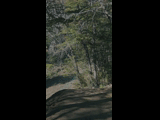 Campeon del Bike Park 2024 - Rider 151 GABRIEL FLORES