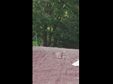 Campeon del Bike Park 2024 - Rider 151 GABRIEL FLORES / DOMINGO